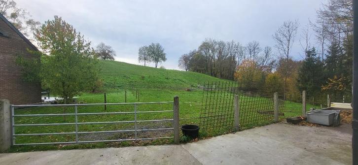 Boxe cheval à louer chez particulier, Dieren en Toebehoren, Stalling en Weidegang, 1 paard of pony