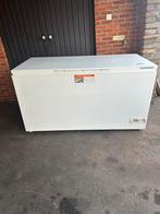 Diepvries liebherr 600 liter, Tussenbouw, Ophalen of Verzenden, Zo goed als nieuw, Energieklasse A of zuiniger