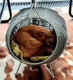 krantenbak / poezenmand, Dieren en Toebehoren, Ophalen of Verzenden, Zo goed als nieuw