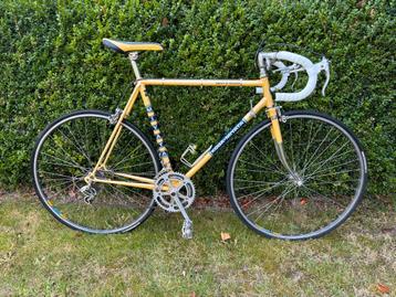 3 Retro Koersfieten In Goede Staat! (apart te koop) beschikbaar voor biedingen