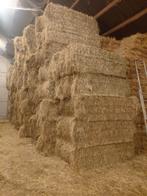 Grote pakken hooi en stro, Zakelijke goederen, Landbouw | Veevoer, Ophalen