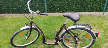 fiets met lage instap met torpedo rem beschikbaar voor biedingen