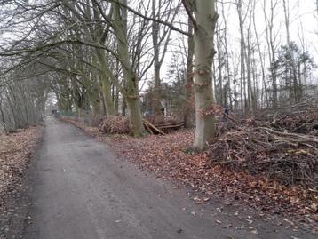 Recreatiegrond te Booischot, Immo, Heist-Op-Den-Berg, 1500 m² of meer