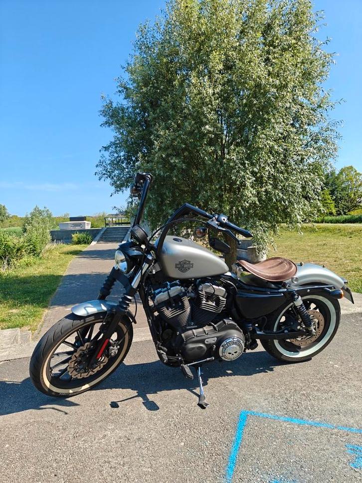 Heel mooie HD XL1200 Nightster Custom, Motoren, Motoren | Harley-Davidson, Particulier, Ophalen
