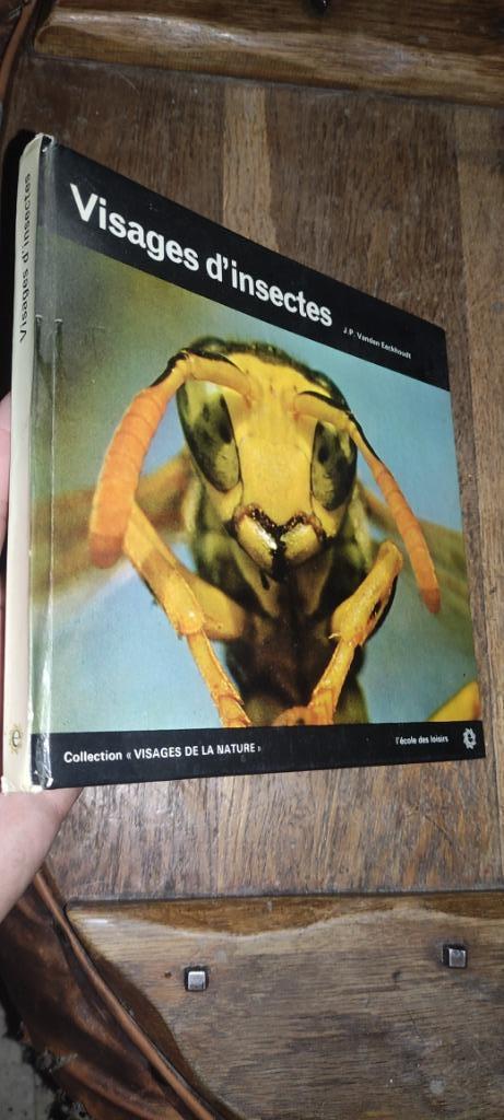 visages d insectes, Boeken, Overige Boeken, Ophalen of Verzenden