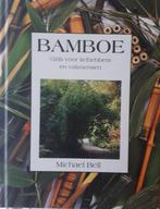 Boek BAMBOE, Jardin & Terrasse, Plantes | Jardin, Graminées ornementales, Enlèvement ou Envoi, Ne fleurit pas, Plante fixe