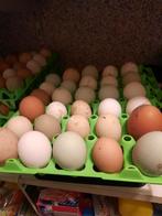 Verse scharreleieren, Ophalen