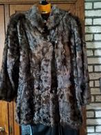Echte pelsen jas, Kleding | Dames, Jassen | Winter, Ophalen, Maat 42/44 (L)