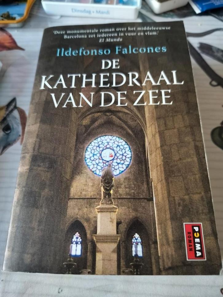 Ildefonso Falcones - de kathedraal van de zee, Boeken, Overige Boeken, Ophalen