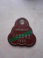 Nettoyage invalide de la Fietsplaat Brabant 1955, Enlèvement ou Envoi