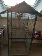 Vogel kooi met 4 parkiten, Animaux & Accessoires, Oiseaux | Cages & Volières, Comme neuf, Enlèvement ou Envoi