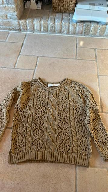 Pull Zara nieuw maat medium, Enlèvement ou Envoi, Comme neuf