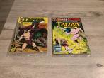 Tarzan verschillende comic strips (1977-1980), Gelezen, Europa, Ophalen of Verzenden, Meerdere comics