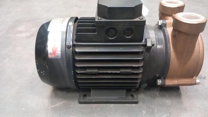 PC25EM2T50C Forani Pecorari  Zelfaanzuigende kortgekoppelde, Autos : Pièces & Accessoires, Moteurs & Accessoires, Neuf, Enlèvement