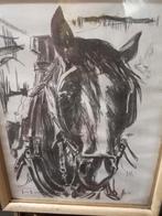 Houtskooltekening prachtig paardenhoofd, Antiek en Kunst, Ophalen of Verzenden