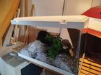 Visen aquarium, Ophalen, Zo goed als nieuw
