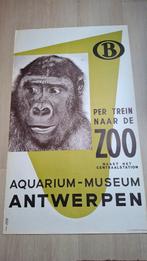 Zoo poster, Verzamelen, Ophalen of Verzenden