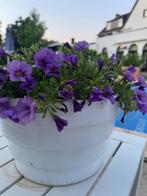 NIEUWE ronde bloempot plantenbak S Fiberstone Jan De Bouvrie, Tuin en Terras, Bloempotten, 25 tot 40 cm, Kunststof, Rond, Nieuw