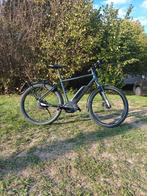 Speed Pedelec Koga Pace B20, Fietsen en Brommers, Elektrische fietsen, Ophalen, Zo goed als nieuw