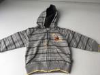 disney 98, Kinderen en Baby's, Kinderkleding | Maat 98, Disney, Gebruikt, Trui of Vest, Ophalen of Verzenden