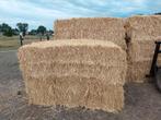 hooi en stro geleverd, Zakelijke goederen, Landbouw | Veevoer, Ophalen