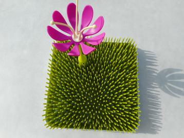 Boon grass afdruiprek + flower accessoire beschikbaar voor biedingen