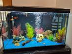 Aqarium met vissen, Dieren en Toebehoren, Vissen | Aquaria en Toebehoren, Ophalen