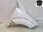 SPATBORD RECHTS VOOR Renault Megane III Coupe (DZ), Auto-onderdelen, Gebruikt, Rechts, Renault, Spatbord