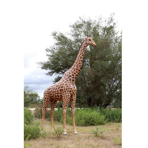 Girafe 18 pieds – Statue girafe Hauteur 515 cm, Collections, Collections Animaux, Neuf, Enlèvement ou Envoi