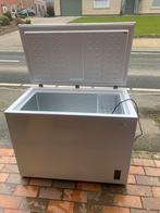 Friac congelé, Electroménager, Enlèvement, Comme neuf