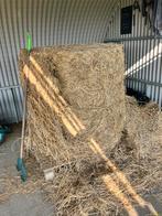1 midibaal voordroog hooi 2e snede, Dieren en Toebehoren, Ophalen, Overige soorten