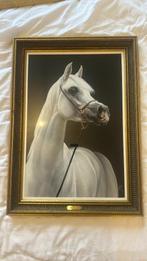 Schilderij Arabisch paard inclusief kader “Mahfouz”, Antiek en Kunst, Ophalen