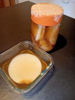 Kombucha scoby, Ophalen