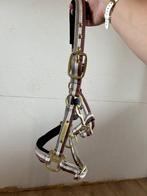 Verschillende halsters, Ophalen of Verzenden, Gebruikt