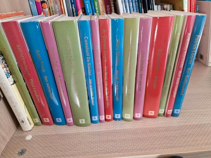 15 delig boekenreeks, Boeken, Stock en Verzamelingen, Zo goed als nieuw, Ophalen