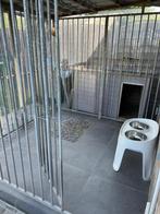 Hondenhok, Dieren en Toebehoren, Ophalen, Hondenhok