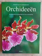 Praktisch handboek Orchideeën - Jörn Pinske, Comme neuf, Plantes d'intérieur, Enlèvement ou Envoi, Jörn Pinske