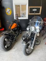Prachtige Harley, Motoren, 2 cilinders, 1600 cc, Chopper, Particulier