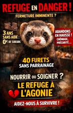 Demande d'aide, Tickets en Kaartjes