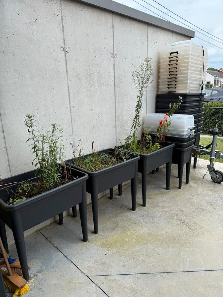 12 xxl en 5l Elho kweektafels, Tuin en Terras, Bloembakken en Plantenbakken, Zo goed als nieuw, Kunststof, Balkon, Tuin, 60 cm of meer