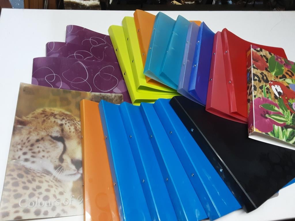 21 dunne ringmapjes Esselte, Diversen, Schoolbenodigdheden, Ophalen