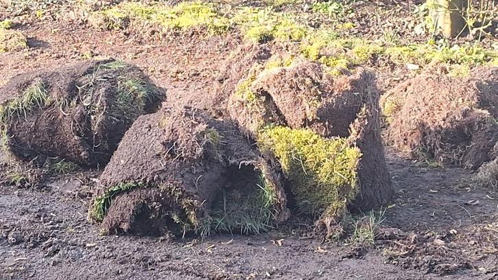 Gratis moszoden met grond, Jardin & Terrasse, Terre & Fumier, Enlèvement