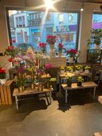 Commerce à remettre à jette, Zakelijke goederen, Exploitaties en Overnames