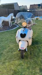 Borsalino Neco 125cc, Vélos & Vélomoteurs, Enlèvement, Utilisé, Essence, Autres marques