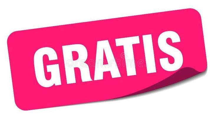 GRATUIT À L'ACHAT D'UN NOUVEAU CAMION TÉLÉCOMMANDÉ DE VOT, Hobby & Loisirs créatifs, Modélisme | Radiocommandé & Téléguidé | Voitures