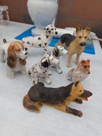 Allerlei honden in steen, Ophalen