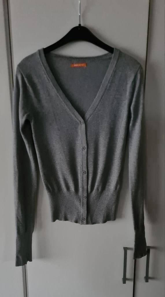 Grijs vestje met knoopjes, maat 158/164, Kinderen en Baby's, Kinderkleding | Maat 164, Ophalen of Verzenden, Hema, Trui of Vest