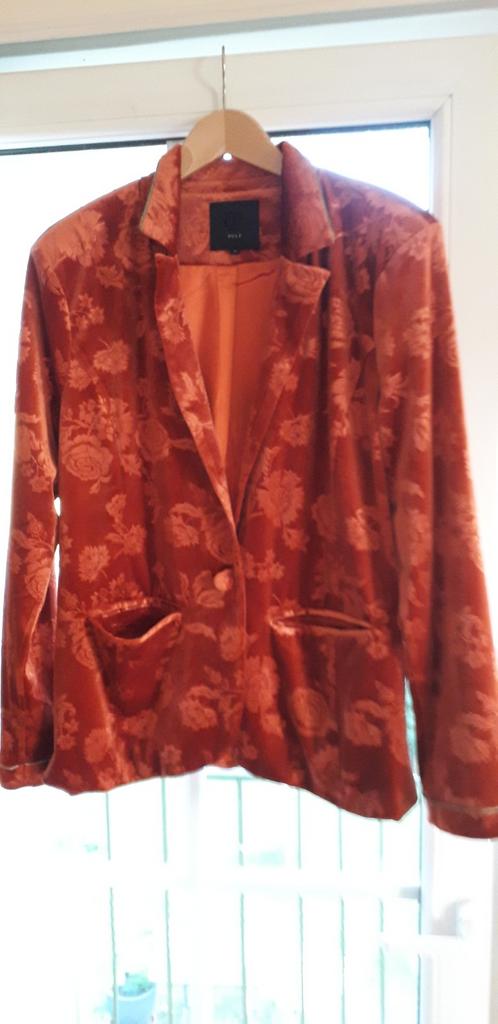 Fluwelen vest Pulz maat XL, Kleding | Dames, Jasjes, Kostuums en Pakken, Ophalen of Verzenden, Maat 46/48 (XL) of groter