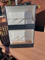 Standard Tentoonstelling kooien 15cm diep  10 stuks, Ophalen