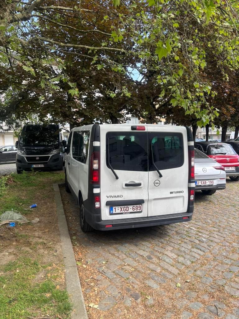 Opel vivaro euro 6 dans l’etat, Achat, Vivaro, Euro 6, Boîte manuelle